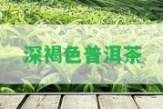 深褐色普洱茶