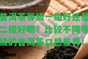 普洱茶等級一級好還是二級好喝？比較不同等級的普洱茶口感差異！