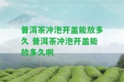 普洱茶沖泡開蓋能放多久 普洱茶沖泡開蓋能放多久啊