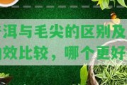 普洱與毛尖的區(qū)別及其功效比較，哪個更好？