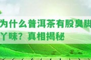 為什么普洱茶有股臭腳丫味？真相揭秘