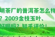 明茶廠的普洱茶怎么樣？2009金枝玉葉、好喝嗎？知乎評價！