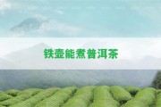 鐵壺能煮普洱茶