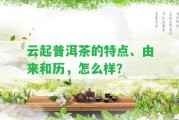 云起普洱茶的特點(diǎn)、由來和歷，怎么樣？