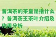 普洱茶的茶皇是指什么？普洱茶王茶葉介紹及作用分析