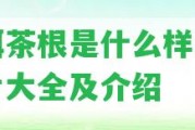 普洱茶根是什么樣子的圖片大全及介紹