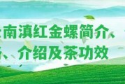 云南滇紅金螺簡介、價格、介紹及茶功效