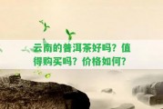 云南的普洱茶好嗎？值得購買嗎？?jī)r(jià)格怎樣？