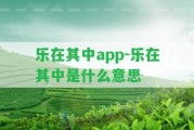 樂在其中app-樂在其中是什么意思