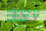 真正的普洱茶是什么樣的？顏色、圖片、外觀都有哪些特點？