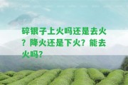 碎銀子上火嗎還是去火？降火還是下火？能去火嗎？