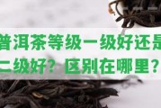 普洱茶等級一級好還是二級好？區(qū)別在哪里？