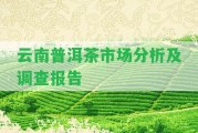 云南普洱茶市場分析及調(diào)查報告