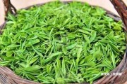 云南普洱茶最老茶樹(shù)產(chǎn)地在哪？