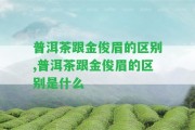 普洱茶跟金俊眉的區(qū)別,普洱茶跟金俊眉的區(qū)別是什么