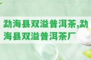 勐海縣雙溢普洱茶,勐海縣雙溢普洱茶廠