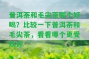 普洱茶和毛尖茶哪個(gè)好喝？比較一下普洱茶和毛尖茶，看看哪個(gè)更受歡迎