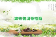 肅熟普洱茶招商