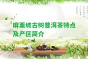 麻栗坡古樹普洱茶特點(diǎn)及產(chǎn)區(qū)簡介