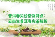 普洱春尖價(jià)格及特點(diǎn)：云南生普洱春尖茶解析