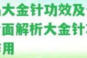 極品大金針功效及價格，全面解析大金針功效與作用