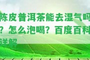 陳皮普洱茶能去濕氣嗎？怎么泡喝？百度百科詳解