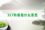 317熟普是什么意思