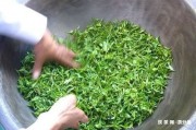 玫瑰普洱茶用開水嗎