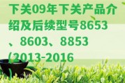 下關(guān)09年下關(guān)產(chǎn)品介紹及后續(xù)型號(hào)8653、8603、8853(2013-2016)