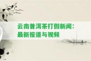 云南普洱茶打假新聞：最新報道與視頻