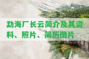 勐海廠長云簡介及其資料、照片、簡歷圖片