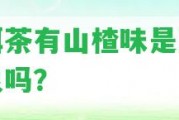 普洱茶有山楂味是正常現(xiàn)象嗎？