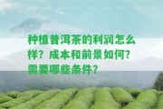 種植普洱茶的利潤(rùn)怎么樣？成本和前景怎樣？需要哪些條件？