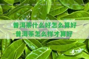 普洱茶什么好怎么算好-普洱茶怎么樣才算好