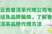 云南普洱茶代理公司電話(huà)及品牌騙局，熟悉普洱茶品牌代理方法