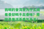 我喝的普洱茶為什么聞著香卻喝不出香味？起因是普洱茶香氣不足！