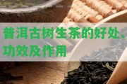 普洱古樹生茶的好處、功效及作用