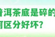 熟普洱茶底是碎的嗎？怎樣區(qū)分好壞？