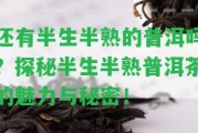 還有半生半熟的普洱嗎？探秘半生半熟普洱茶的魅力與秘密！