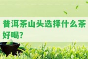 普洱茶山頭選擇什么茶好喝？