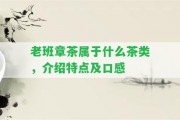 老班章茶屬于什么茶類，介紹特點(diǎn)及口感