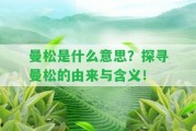 曼松是什么意思？探尋曼松的由來與含義！