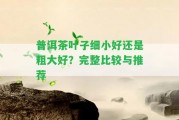 普洱茶葉子細小好還是粗大好？完整比較與推薦