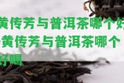 黃傳芳與普洱茶哪個好-黃傳芳與普洱茶哪個好喝