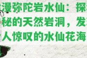 津漫彌陀巖水仙：探秘神秘的天然巖洞，發(fā)現(xiàn)令人驚嘆的水仙花海景觀