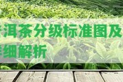 普洱茶分級標(biāo)準(zhǔn)圖及其詳細解析