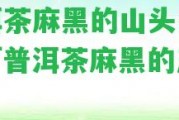 普洱茶麻黑的山頭是哪個「普洱茶麻黑的產(chǎn)地」