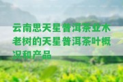 云南思天星普洱茶業(yè)木老樹的天星普洱茶葉概況和產(chǎn)品