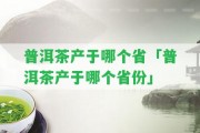 普洱茶產(chǎn)于哪個省「普洱茶產(chǎn)于哪個省份」