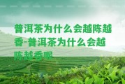 普洱茶為什么會(huì)越陳越香-普洱茶為什么會(huì)越陳越香呢